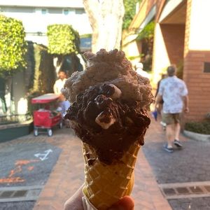 Meet your Posher, Harry